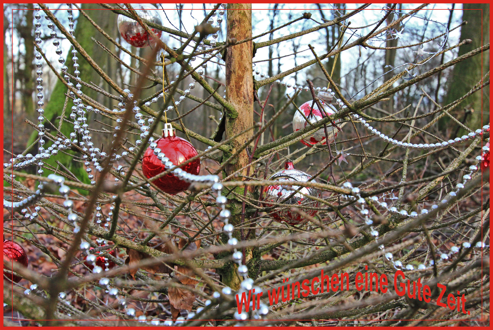 Der besondere Tannenbaum