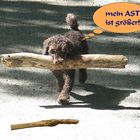 der bessere AST