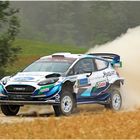 Der beste Ford nur auf Platz 6