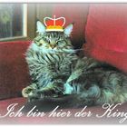 Der beste Freund ...........