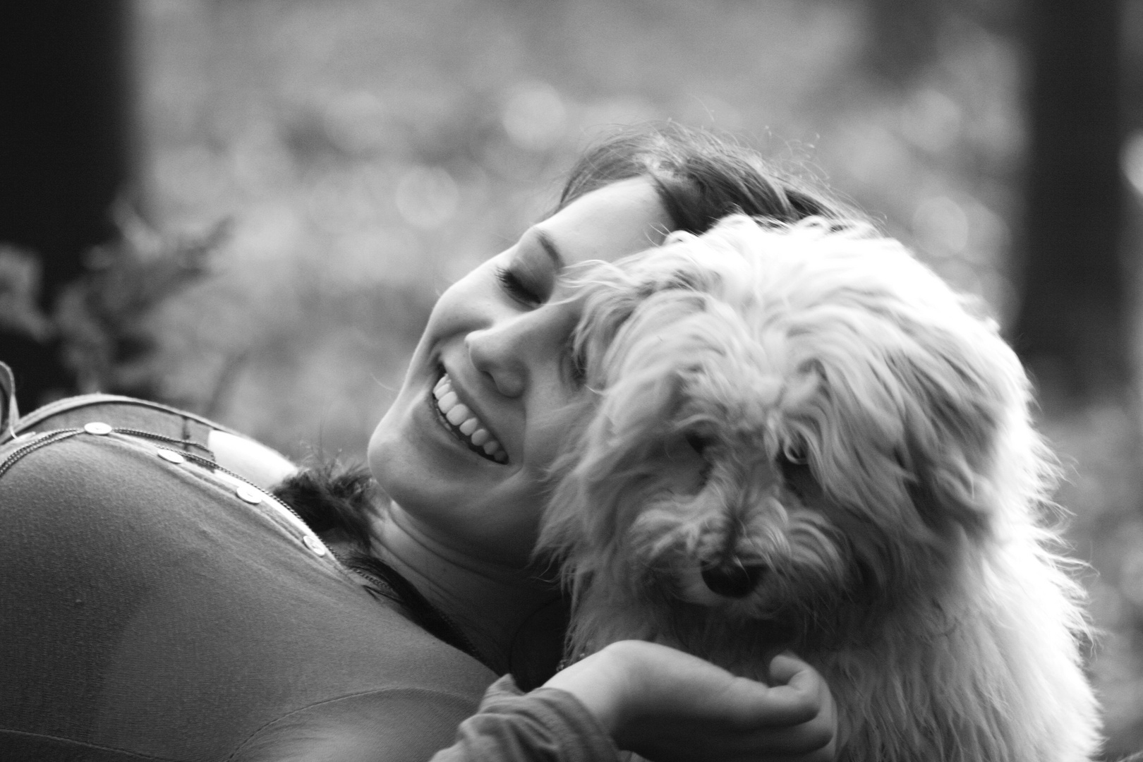 der beste Freund des Menschen Foto & Bild portrait, hund, bester freund des menschens Bilder