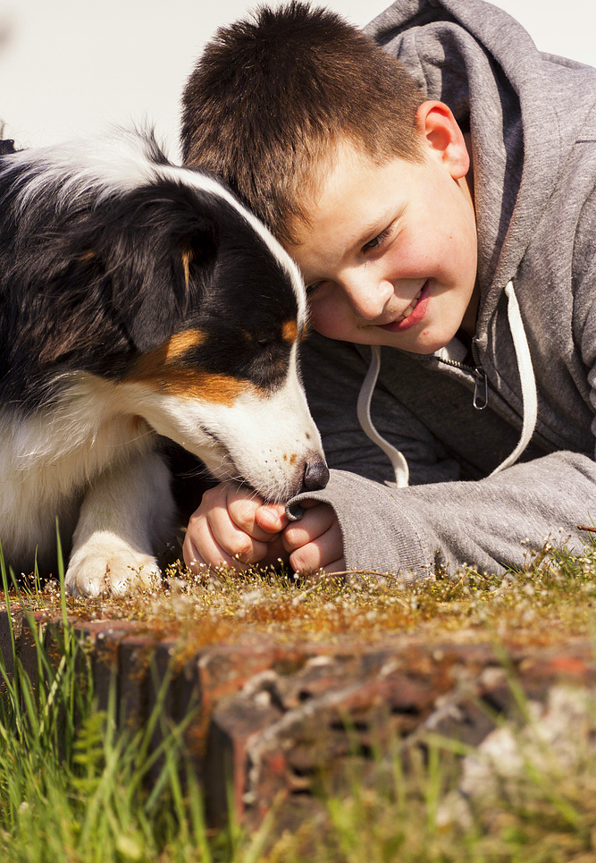 Der beste Freund des Menschen