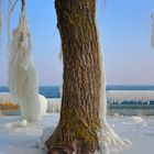 Der beste Künstler der Welt: DIE NATUR