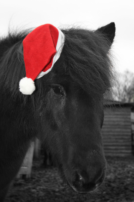 Der beste Weihnachtsmann...