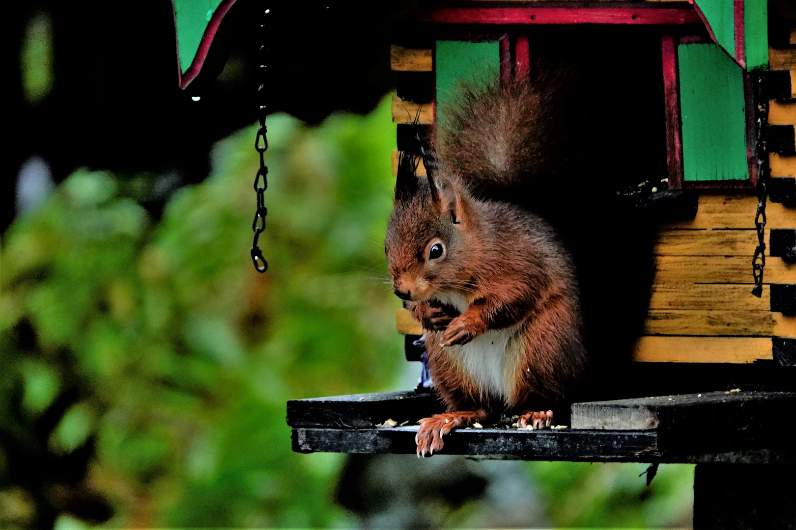 _der Besuch