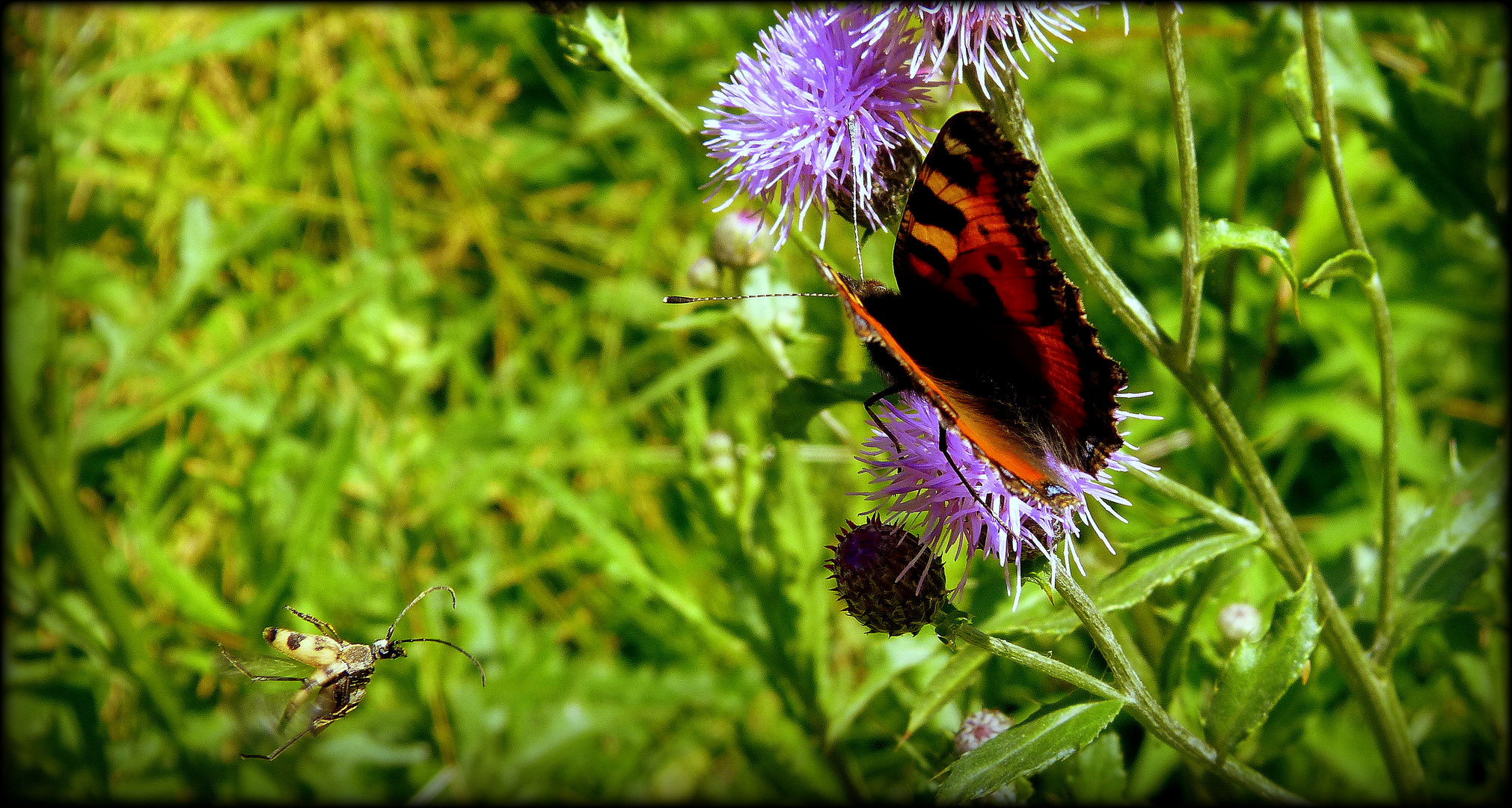 Der Besuch...