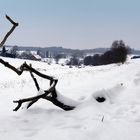 Der Besuch der stürmischen Dame