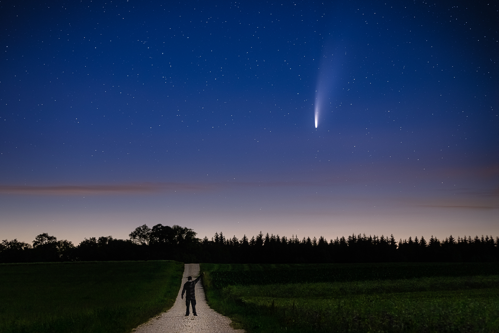 Der Besucher (C/2020 F3 Neowise)