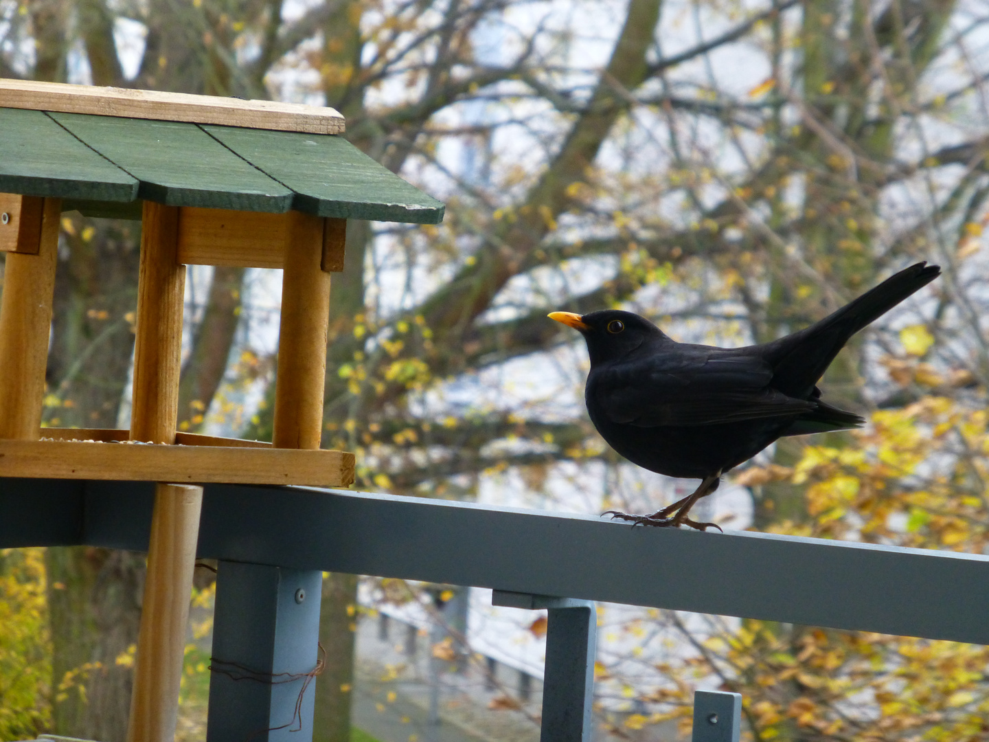 Der Besucher