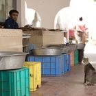 Der Bettler vom Fischmarkt in Umm al Quwain