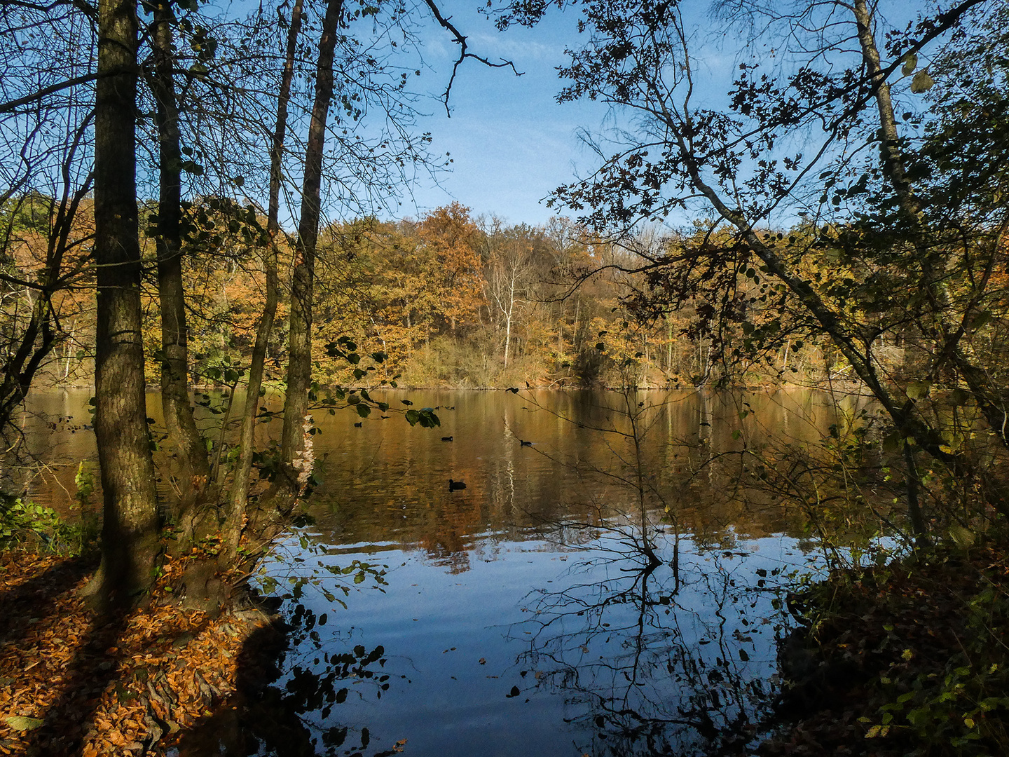 Der Beversee ...