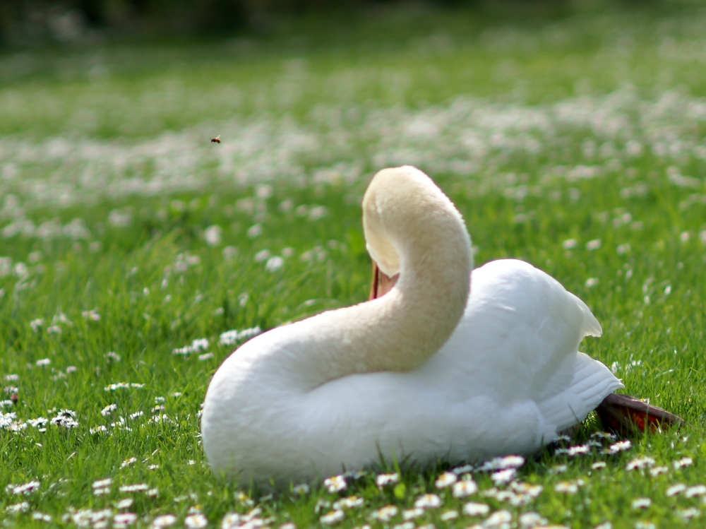 Der Beweis: Frühling wirds