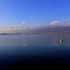 Der Bielersee in voller Pracht