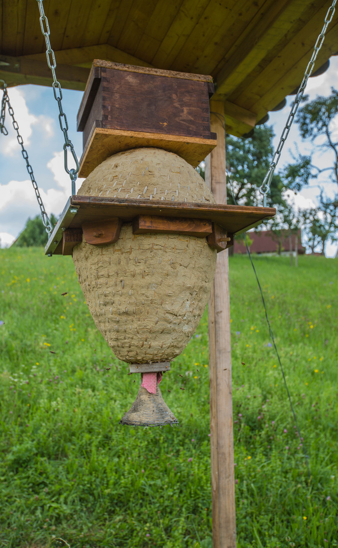 Der Bienenhängekob / Weißenseifener Hängekorb 1