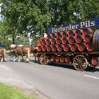 Der Bierkutscher