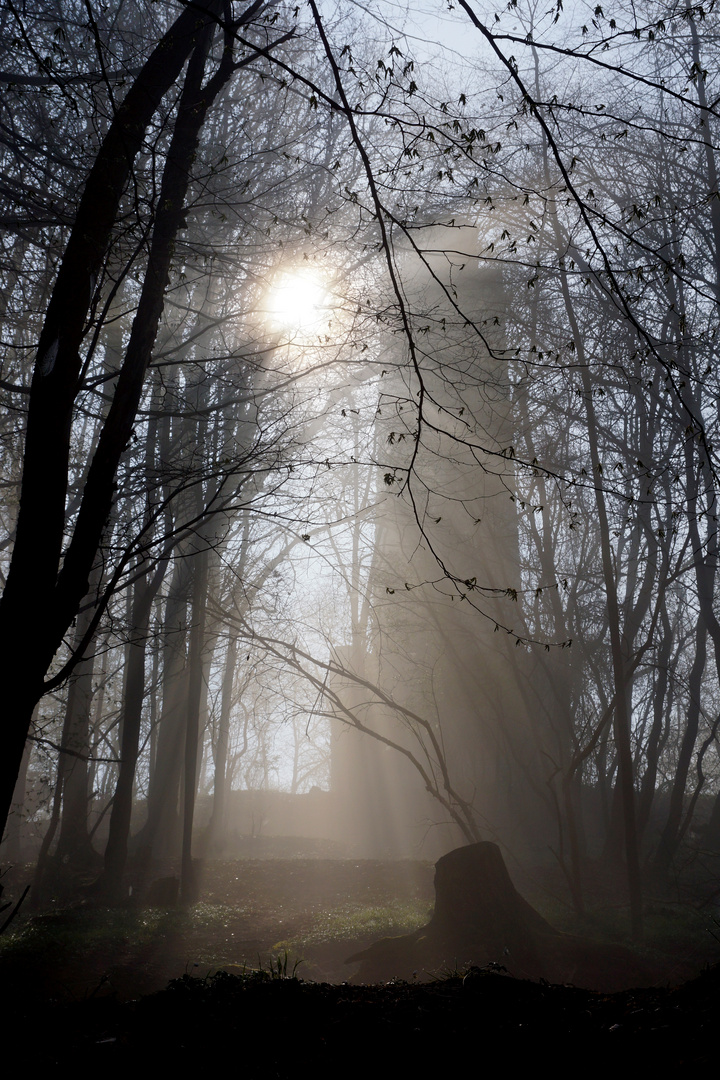 Der Bismarck-Turm im Nebel