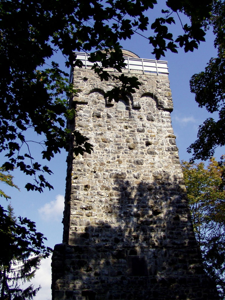 Der Bismarckturm