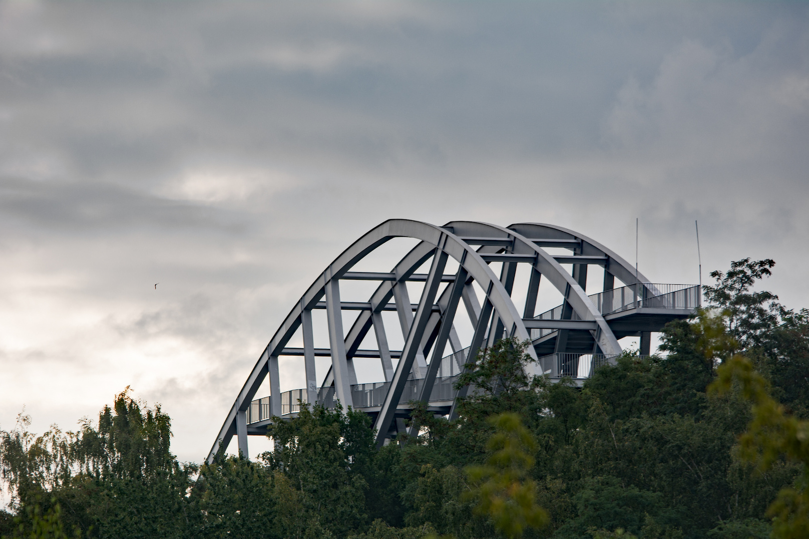 Der Bitterfelder  Bogen