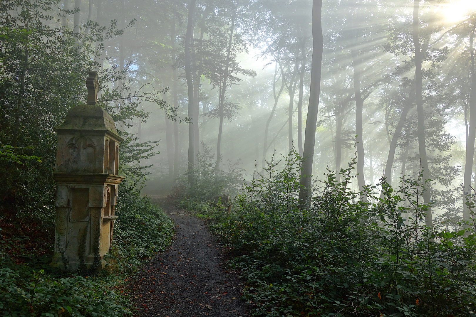 Der Bittweg am Petersberg