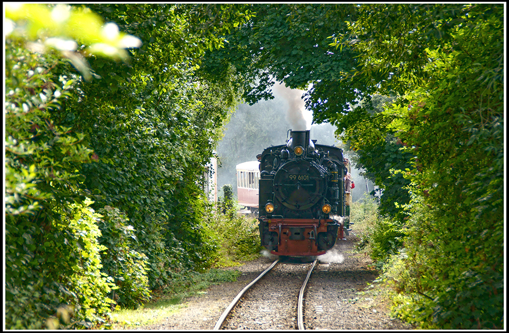 Der Blättertunnel von Burgbrohl-Weiler