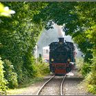 Der Blättertunnel von Burgbrohl-Weiler