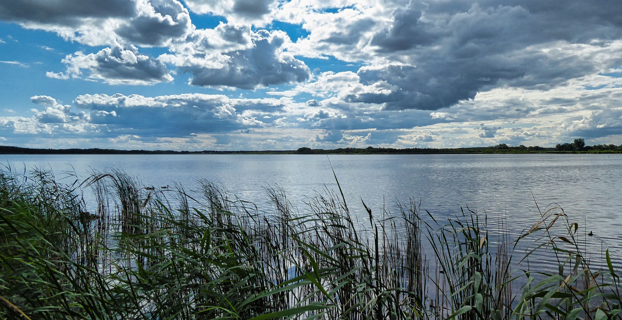 Der Blankensee