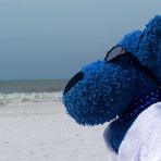 Der blaue Bär und das Meer