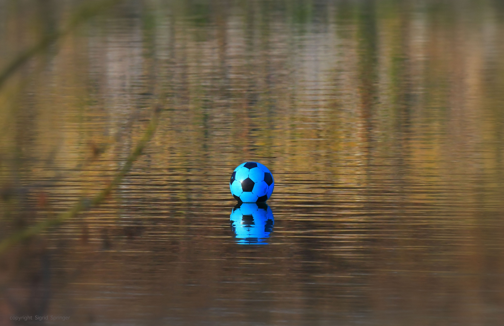 der blaue Ball