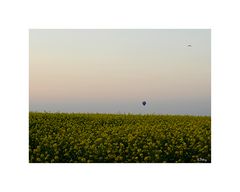 Der blaue Ballon