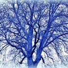 Der blaue Baum