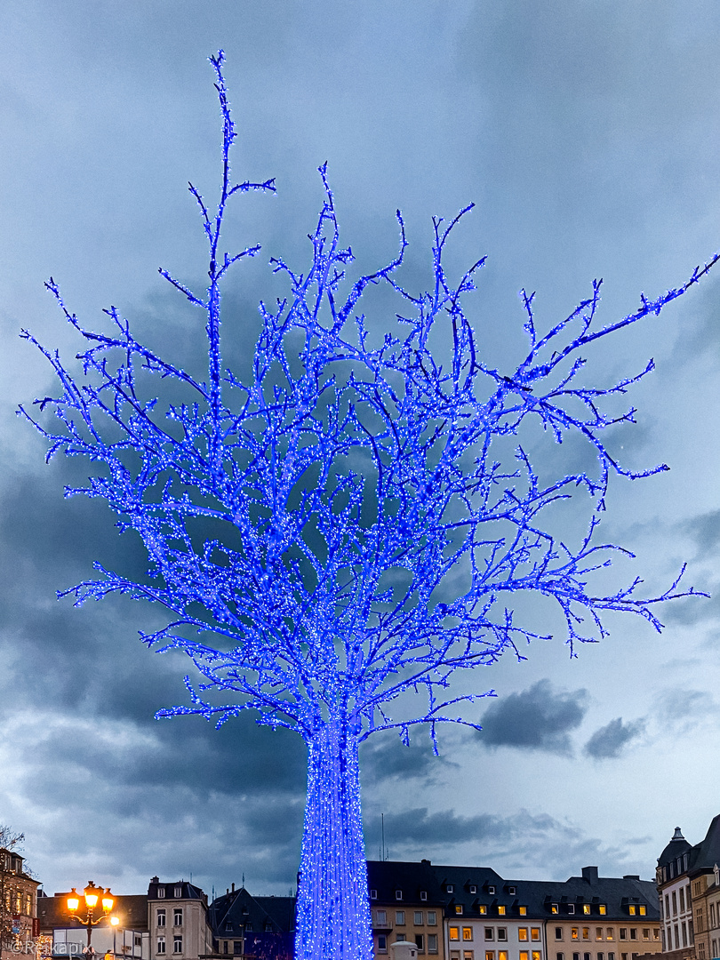 Der blaue Baum