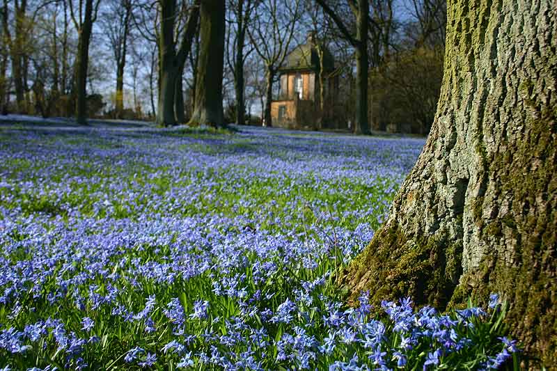 der "blaue Berg" in Linden 3