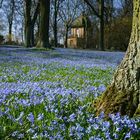 der "blaue Berg" in Linden 3