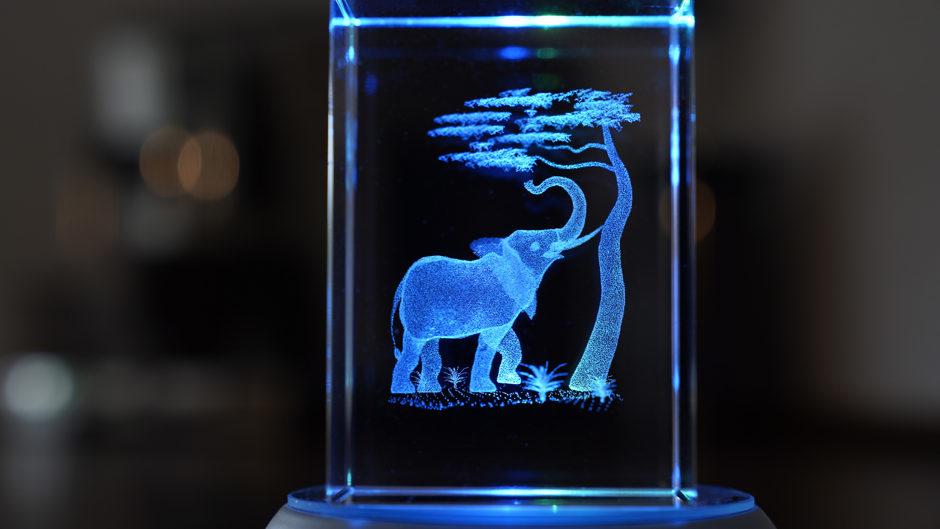 Der blaue Elefant Foto & Bild abstraktes, stillleben, projekte Bilder