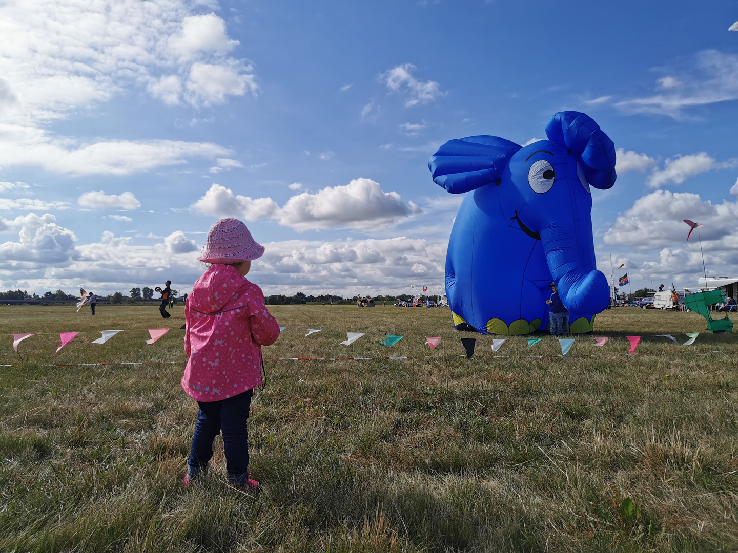 Der blaue Elefant