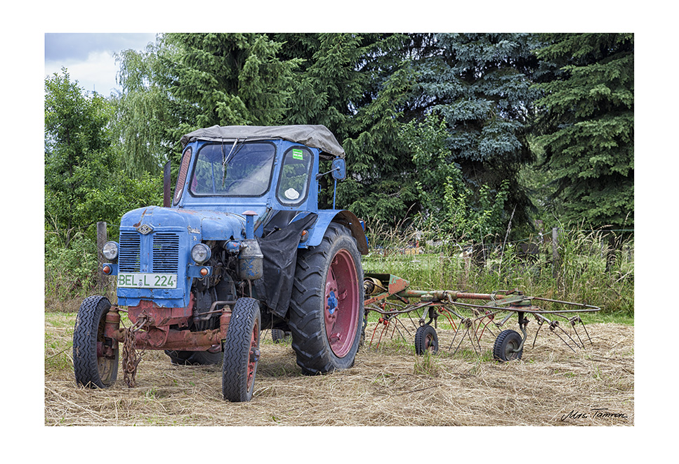 Der blaue Famulus