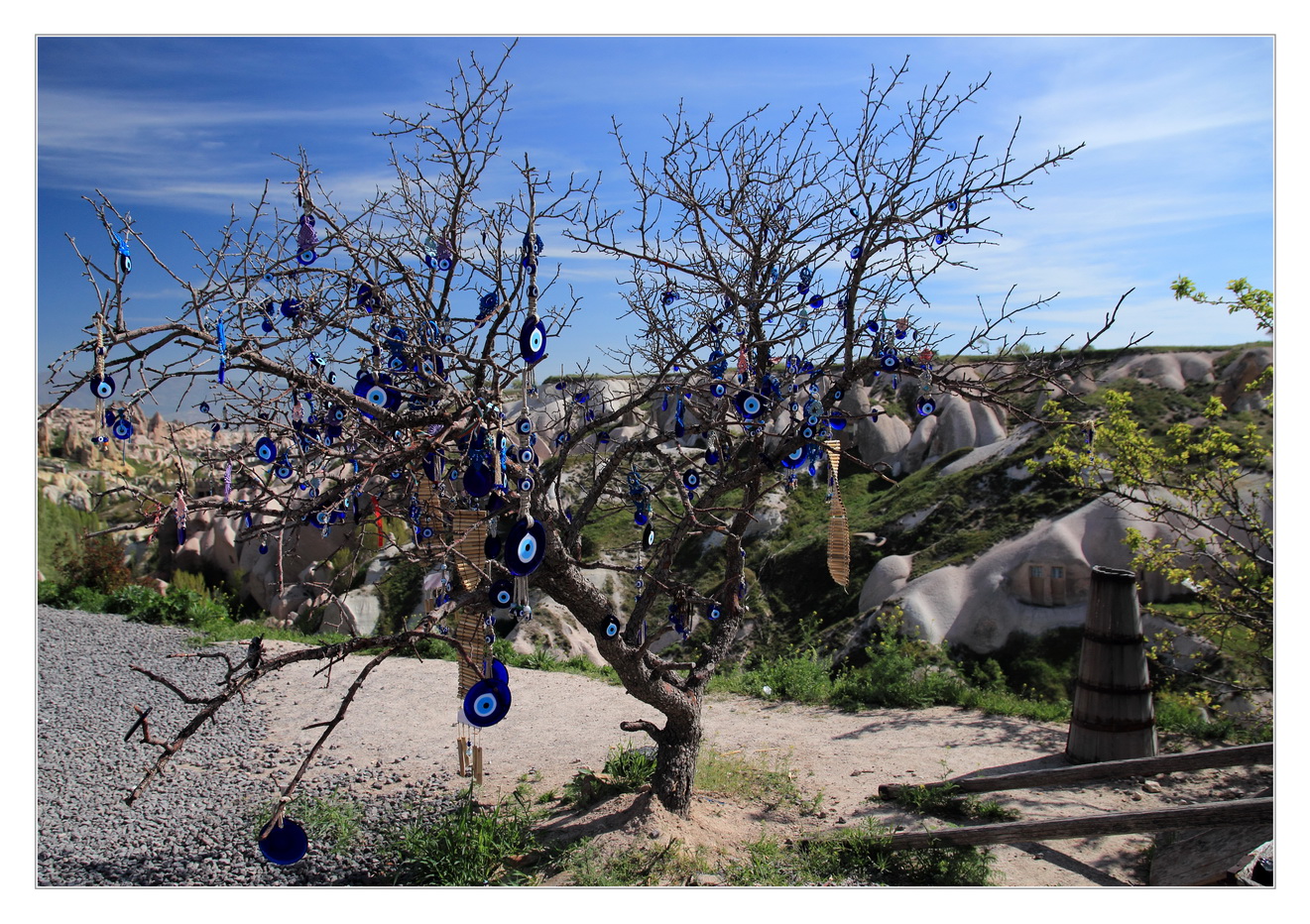 Der blaue-Glasaugen-Baum in Kappadokien