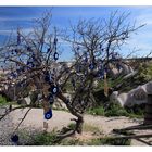 Der blaue-Glasaugen-Baum in Kappadokien