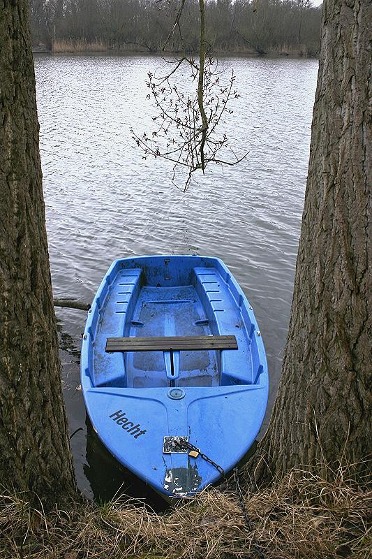 Der blaue Hecht