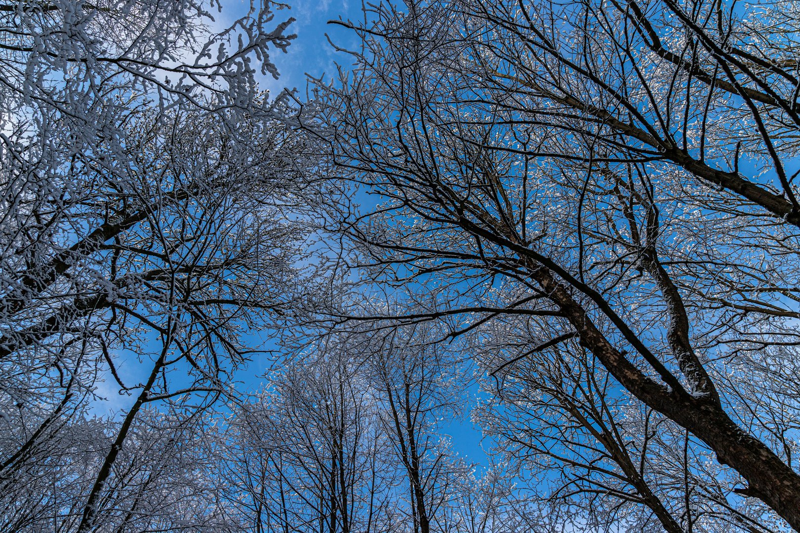 Der blaue Himmel