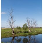 der blaue Himmel