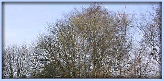 Der blaue Himmel lädt zum Spaziergang ein