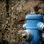 Der Blaue Hydrant