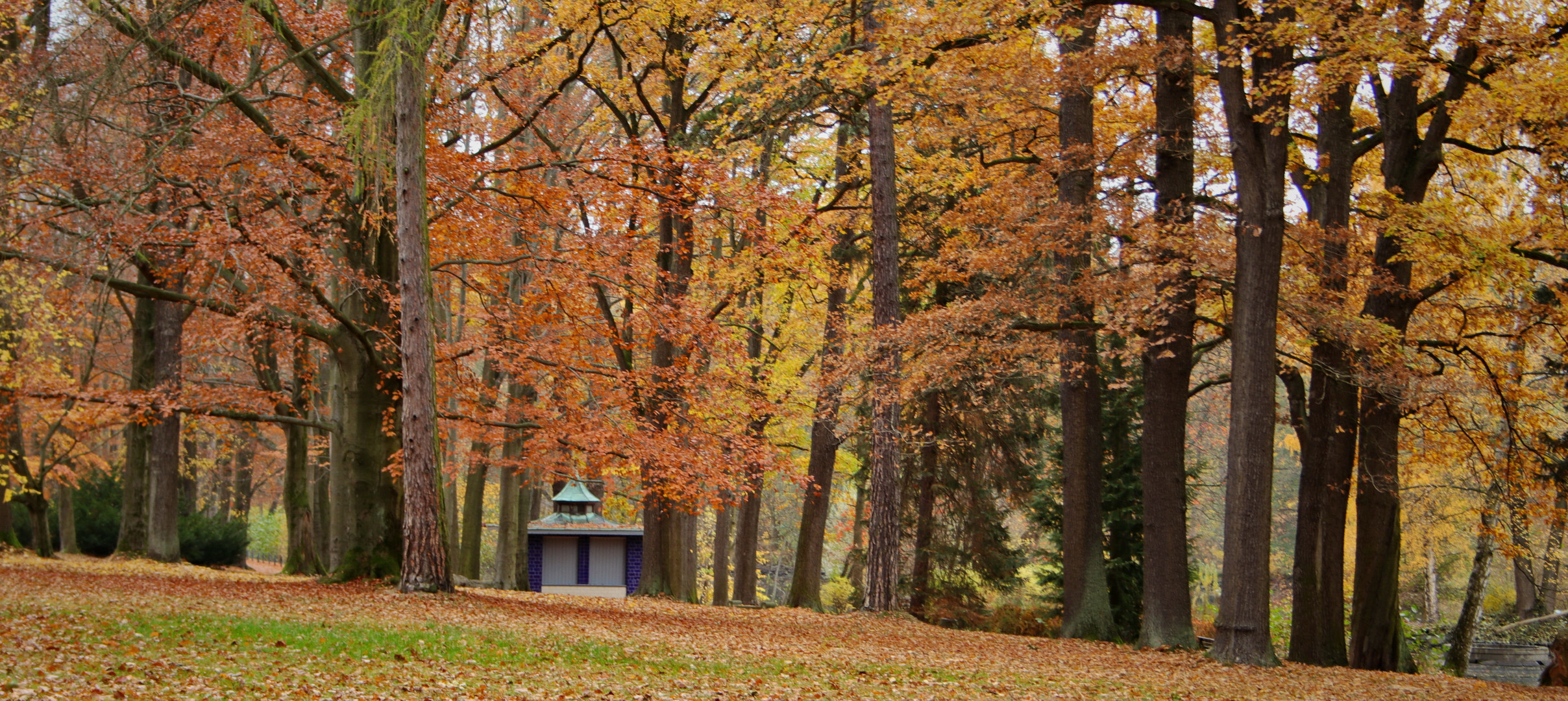 Der blaue Kiosk