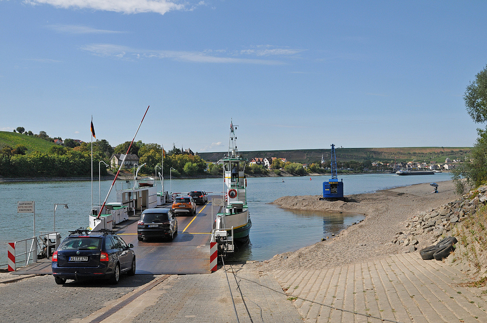 Der blaue Menck – die Wucht am Rhein 01