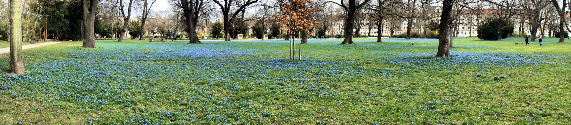 Der blaue Nordpark in Magdeburg