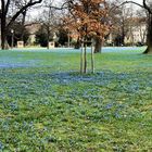 Der blaue Nordpark in Magdeburg