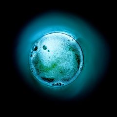Der blaue Planet