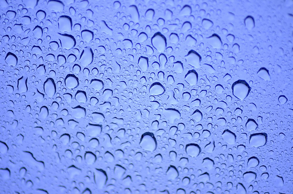 Der Blaue Regen von Stefan1311 