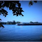Der blaue Rhein